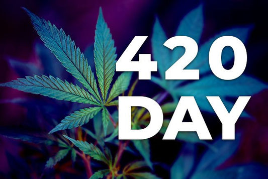 Journée mondiale du cannabis chez Herbeevor le 20 avril 2024 - HerBeevor