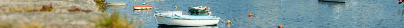 Livraison de CBD : Concarneau - Shop HerBeevor - HerBeevor