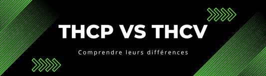 THCP vs THCV : Découvrez leurs différences et potentiels - HerBeevor