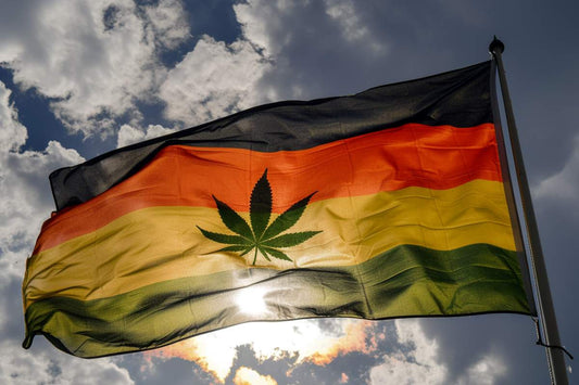 La Nouvelle Ère du Cannabis en Allemagne : Comprendre la Légalisation et ses Implications - HerBeevor