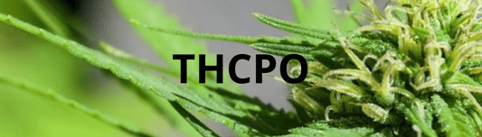 Le THCPO : la nouvelle star des cannabinoïdes qui fait vibrer le marché ! 🌿 - HerBeevor