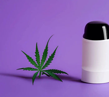Déodorant CBD - HerBeevor