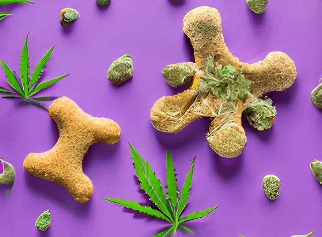 Friandises chiens CBD - HerBeevor
