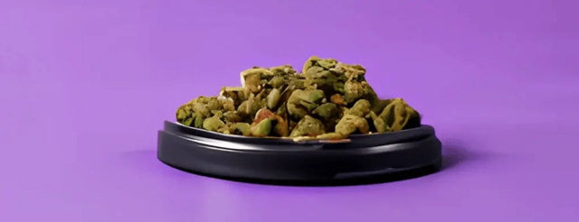 Pâtées Chiens CBD - HerBeevor