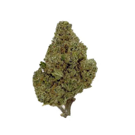 Fleur CBD Forbidden Cookie enrichie en CBN, cultivée en indoor pour une qualité premium. Idéale pour une relaxation intense et un effet apaisant. Disponible chez Herbeevor