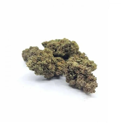 Fleur de CBD Hawaiian Greenhouse – variété premier prix cultivée sous serre en France, offrant un bon équilibre entre qualité et prix, disponible chez Herbeevor.
