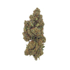 Fleur CBD Lifter Greenhouse – une variété abordable et de qualité, cultivée sous serre pour un excellent rapport qualité-prix, disponible chez Herbeevor.